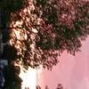 sundos.mohamud8