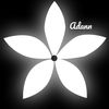 adann.v2