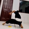 kenn_1922