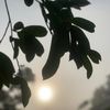 ridmikarunanayake0