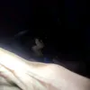 dxvid.m5