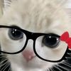 kity_cattt820