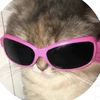 highindaskylar