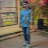 s_picchi_16