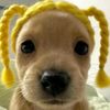 nalinee.sricharoe