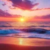 sunsets524