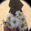 user3082086012662