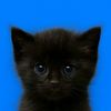 nur.latifah9862