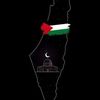 rawda.ali382