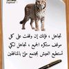 user6846523360116