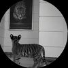 hamza.br27