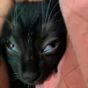 nataly.miranda46