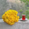 Halabjd