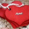 ahmedelsaedy481