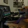 dogee_editor