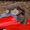 pelmesh_na_blude