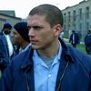 michael scofield