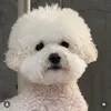 _hoangchau2829_