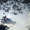 silvi_aja27