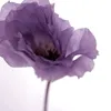 gefljlflfow