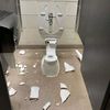 toilet.destroyer79