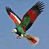yasirmohmead1212