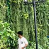 mamun789001