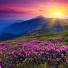 user6111307067946samira