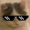 hai64743