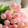 hoa.tulip140782
