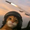 amazzaar0