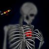 editz.ismail