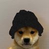 blackdogerl