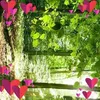 mohamed_berkani0