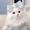 hadjer.lgante