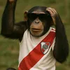 aronelmesias2