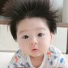 followchinatrend