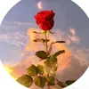 user1755460119444