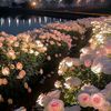 retaj_05073