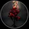 shyar_koya0