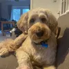 harper_rae38