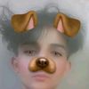 majid7371