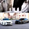 abdul.hadi.aldeeb