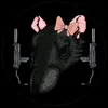 hornyhornet23