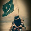 mirza123015