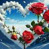.nour7213