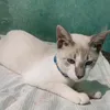 jraio1