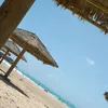 ameliu05