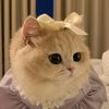 itsyourgirldiva2