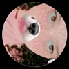 lina_012xk